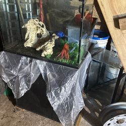 2 Fish Tanks