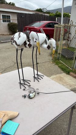 Birds Yard  art