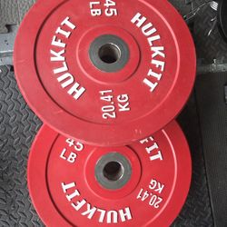 45 Pounds Bumper Plates Olympic Size 2 Inch Hole  Plates Weight Exercise Workouts Weightlift Bench Press 