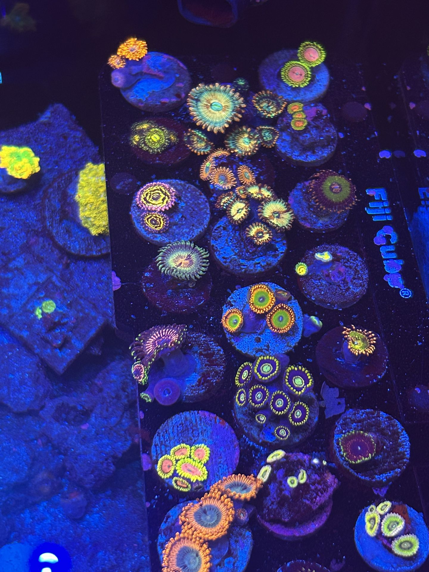 Fake Coral Decorations