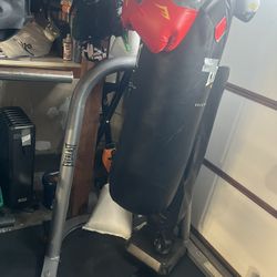 Everlast punching Bag With Stand 
