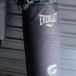 Everlast Punching Bag (Pick Up Only)