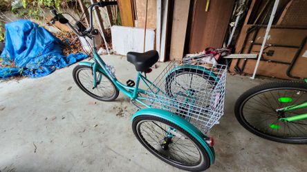 24 inch MoonCool adult Tricycle