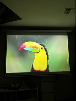 Kayle 120” 16:9 Motorized Projector Screen w/ Remote & Wall Switch