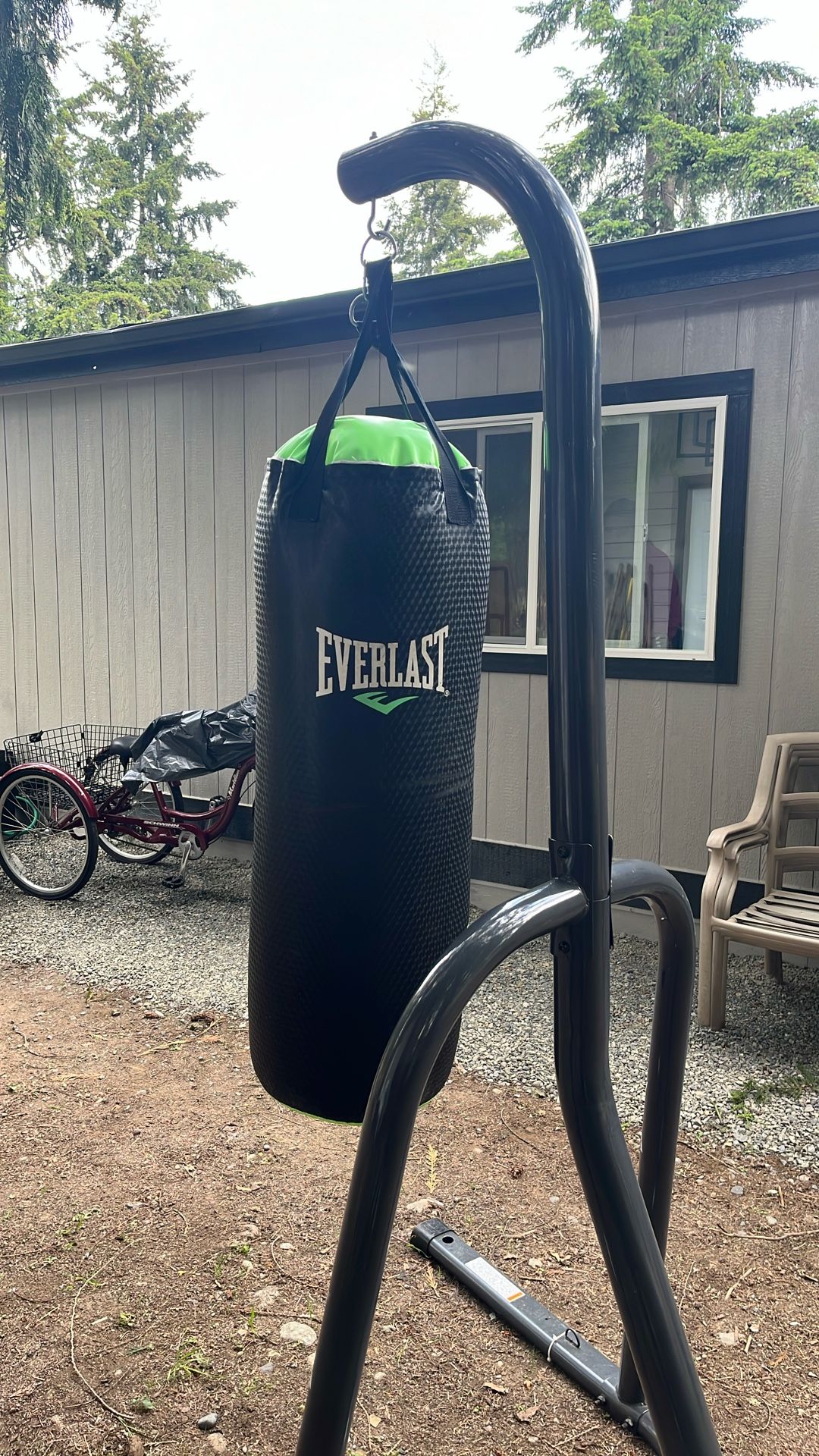 Everlast Punching Bag With Stand
