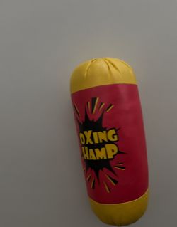 Boxing Champ- Kids Punching Bag 