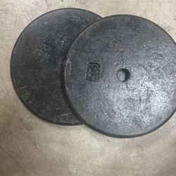 A Pair Of 25 Lbs Weights 