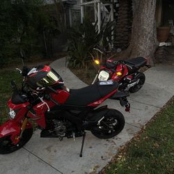 2024 kawasaki z125
