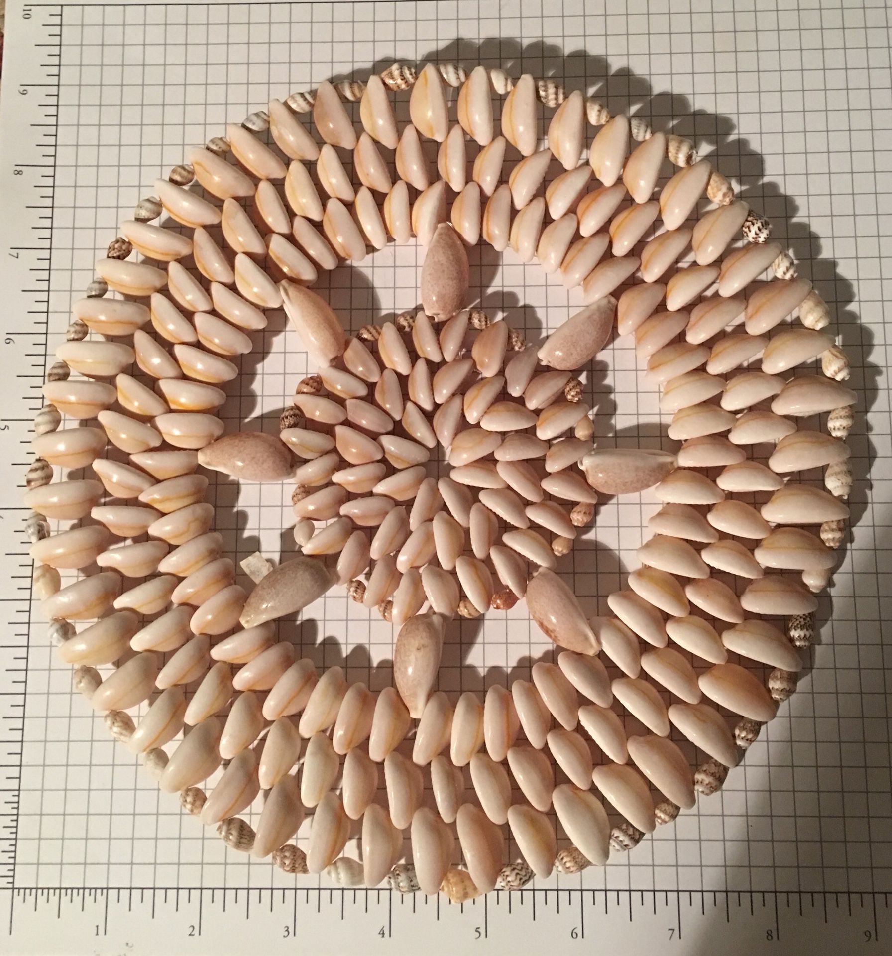 9” seashells trivet