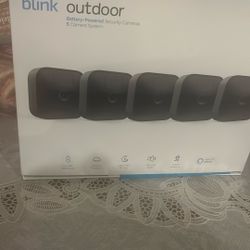 Blink Cameras With Alexa