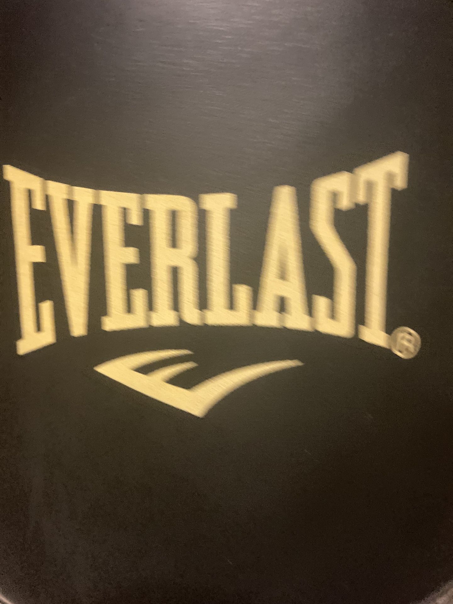 Ever last Punching Bag Speed Kick Punch(bite If Your Iron Mike)