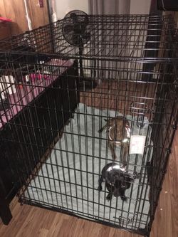 Frisco xxl dog clearance crate