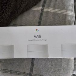 Google While Home Wifi