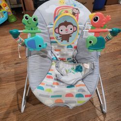 Baby Bouncer