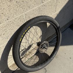 29 inch bike rim
