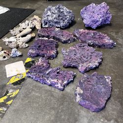 Aquarium Equipment And supplies 