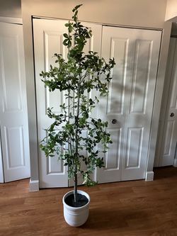 6’ Artificial Tree with White Planter – Faux Indoor Plant