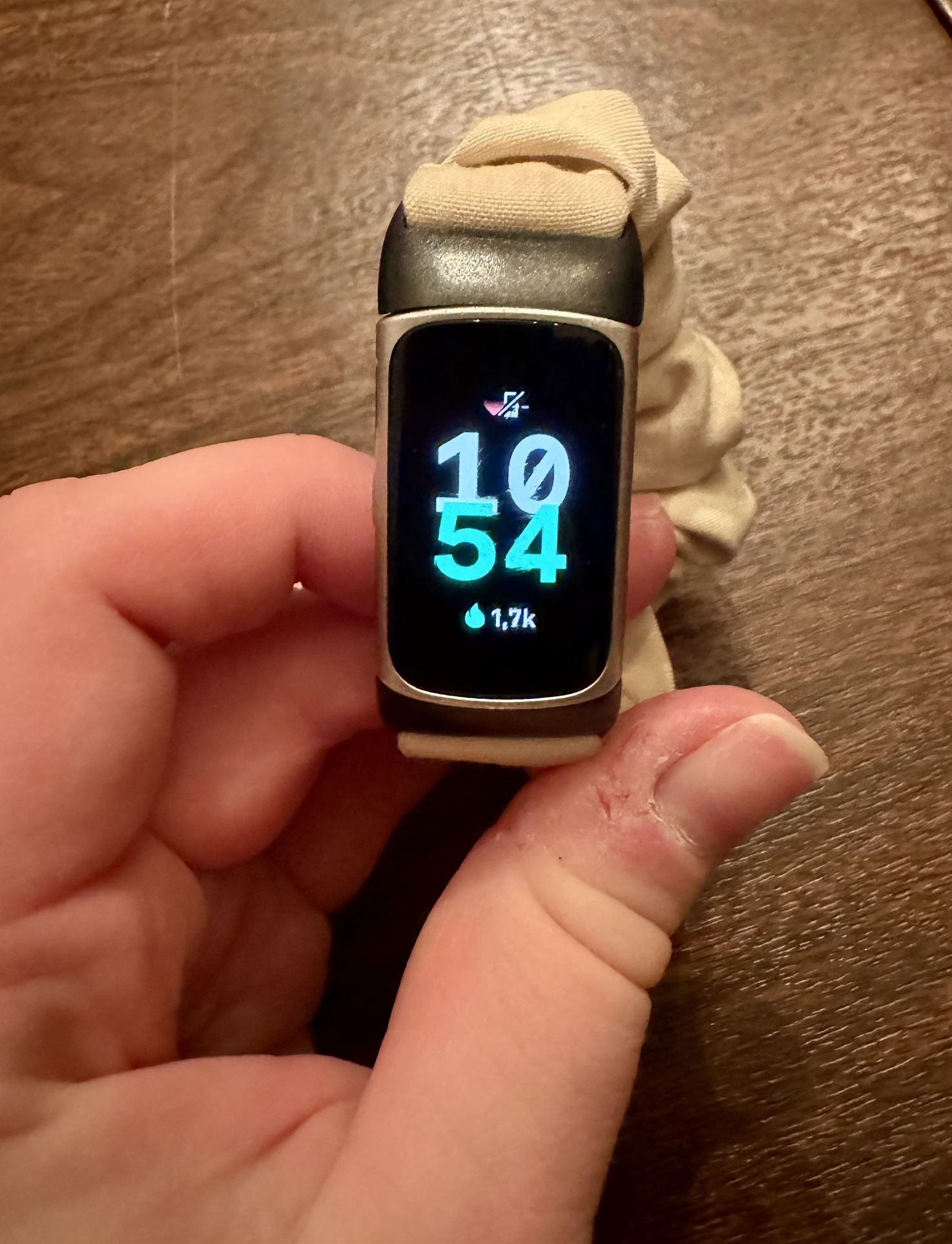 Fitbit Charge 6 With Band And Charger