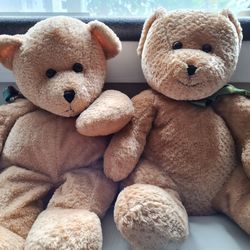 Two Teddy Bears 