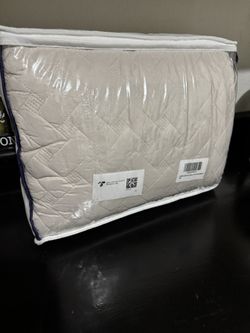 Beige Queen Size Quilt Set 