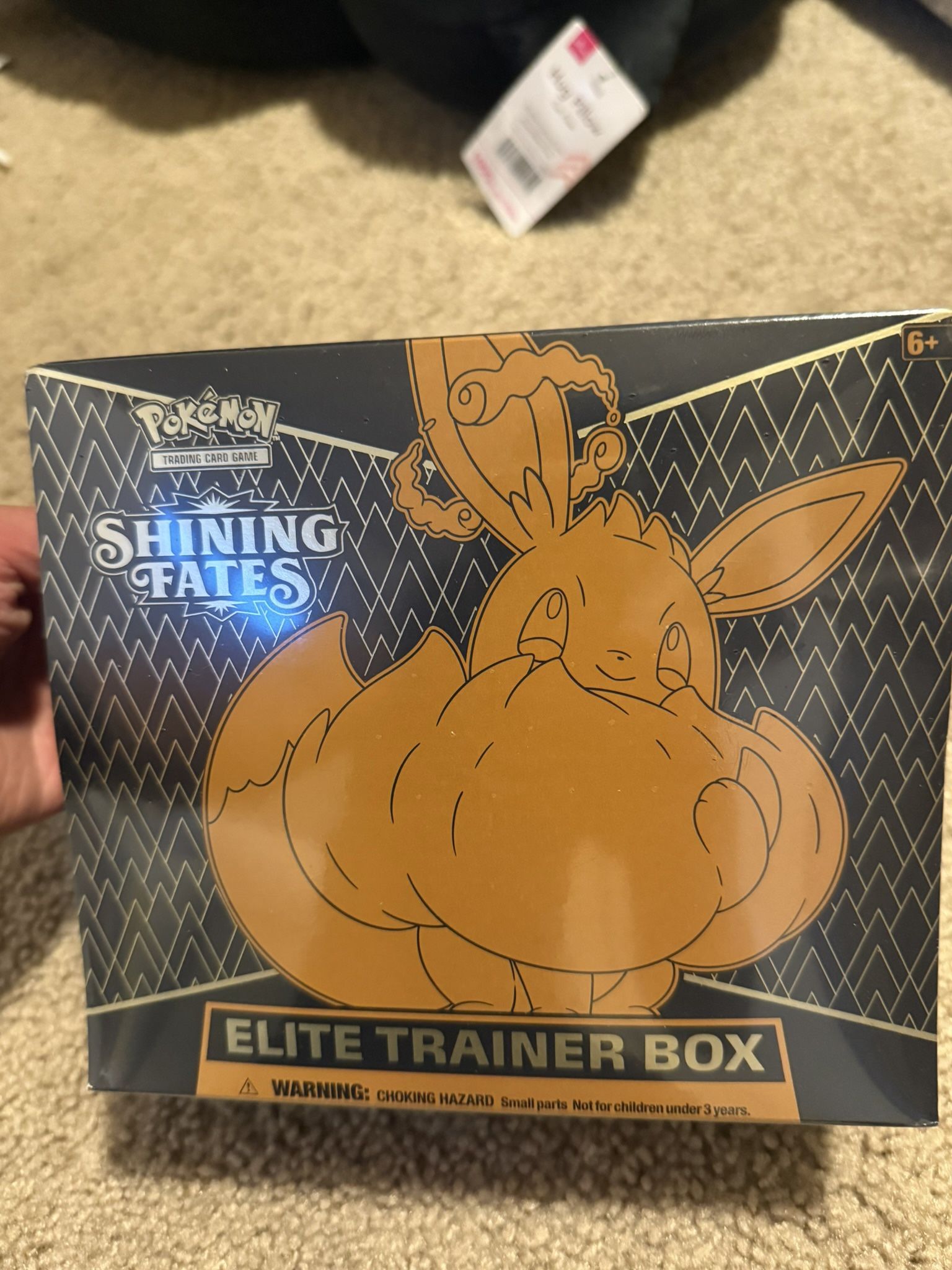 Shining Fates ETB