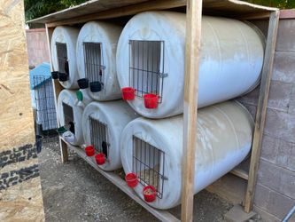 Chicken cage