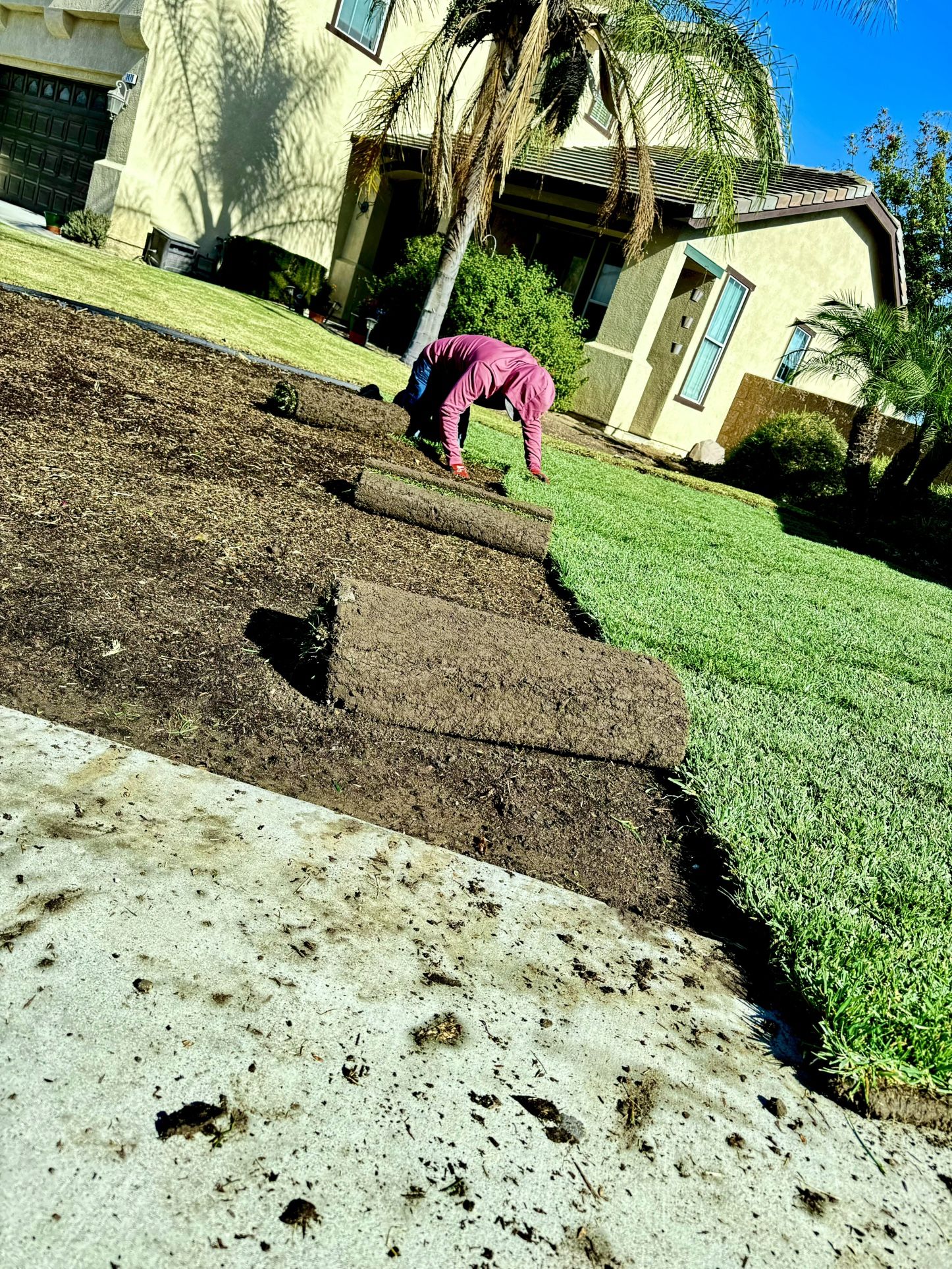 New Sod. St Augustine Grass, Tall Fascue. Marathon 1 2 3 sod Sprinklers New Valve At Good Price