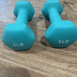 3 Lb Dumbbells x2