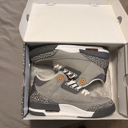 Cool Grey 3s