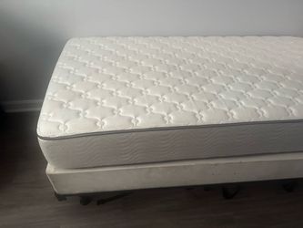 Twin 74 x 37 mattress platform and frame