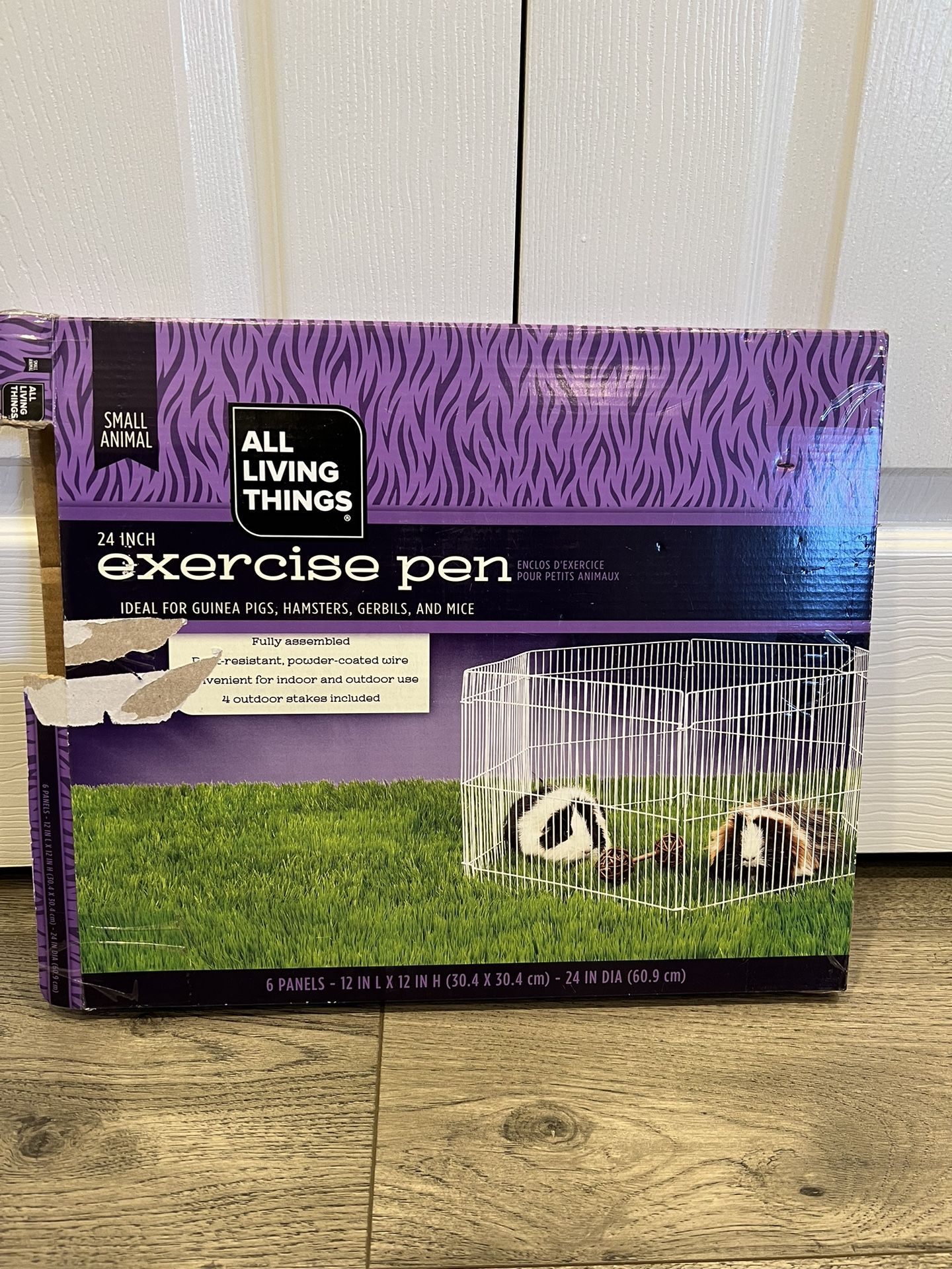 Guinea Pig Accessories
