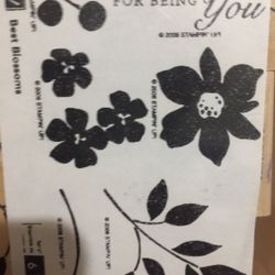 Stampin Up Stamps New