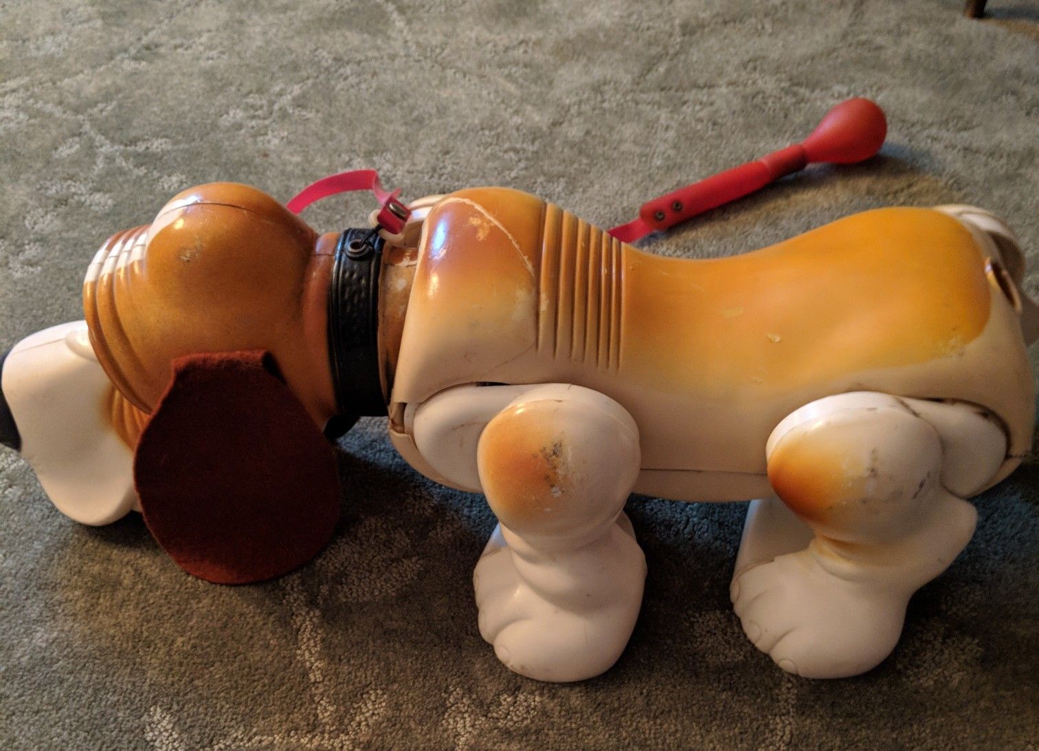Gaylord the Basset Hound
