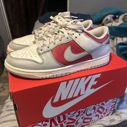 Nike Dunks Size 9.5M