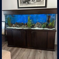 135 gallon aquarium fish tank for sale in upland，ca