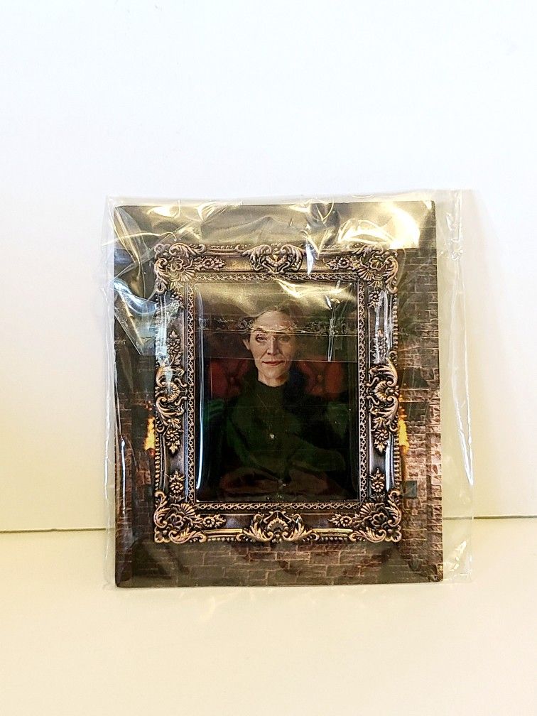 The Wizarding Trunk Harry Potter Inspired Portrait Pin NEW