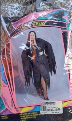 Halloween Costume Enchantress scary Witch Box2