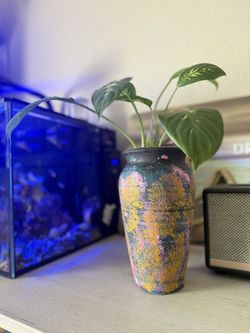 Indoor Plant With Vase