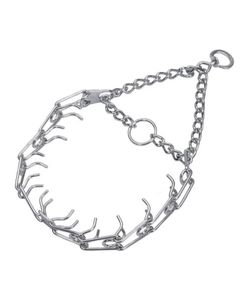Dog Prong Collar