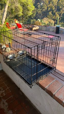 Animal, cage, cat or dog 32in