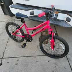 Brand New Girls Mountain Bike