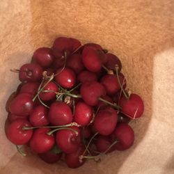 Bing and Rainer cherries 