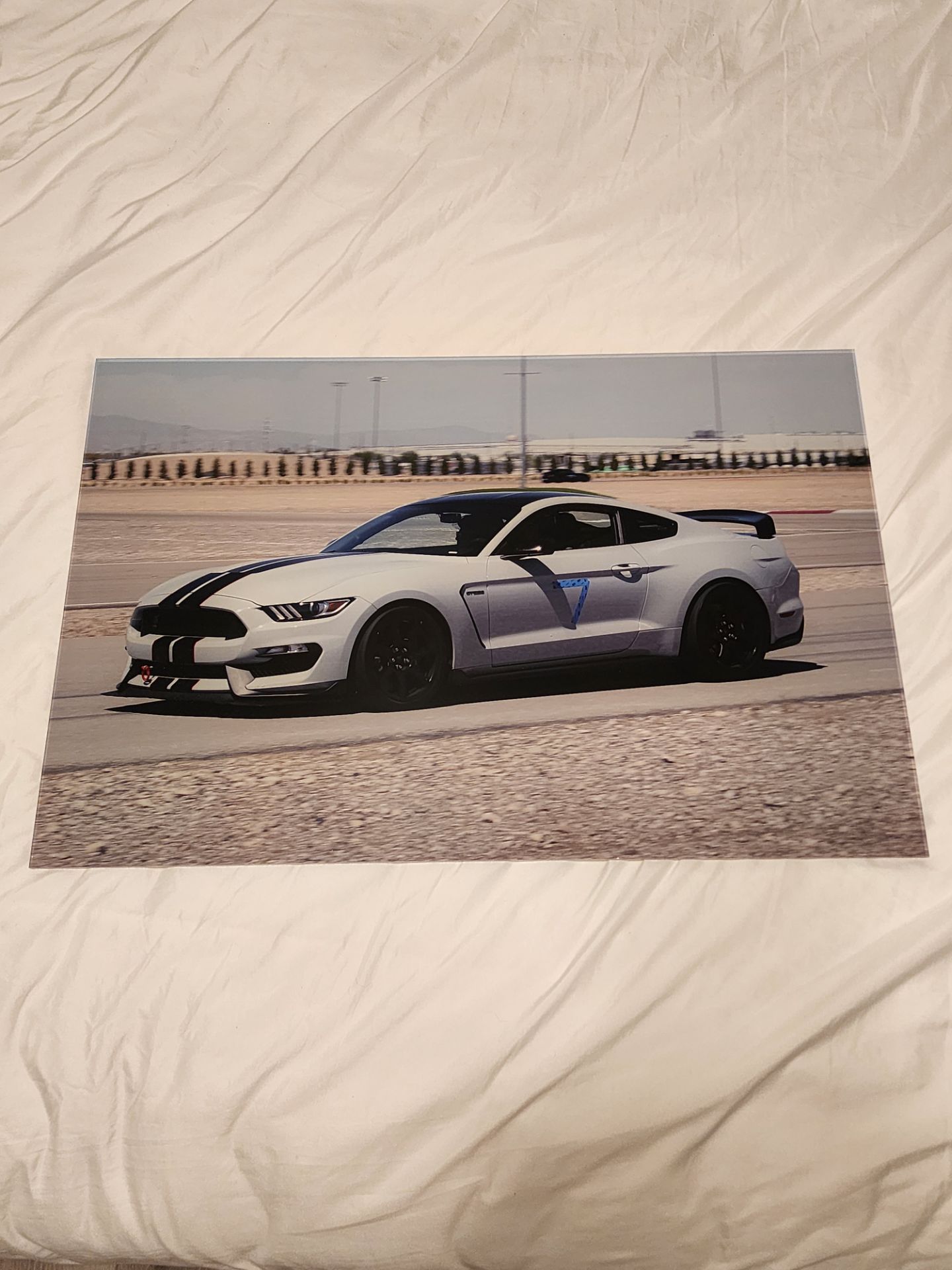 Acrylic Car Decor Photo, Ford Mustang Shelby GT350