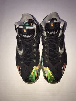 Lebron 11 Everglades Size 10.5