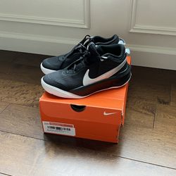 Nike Kids' Team Hustle D 10 Running Shoes