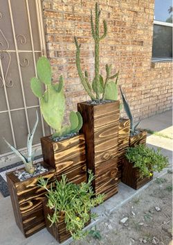 Planter with plants