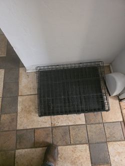 Medium Dog Kennel