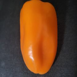 Organic Mini Sweet Orange Pepper Seeds! 2026 SEASON EARLY RELEASE! Available Now! 