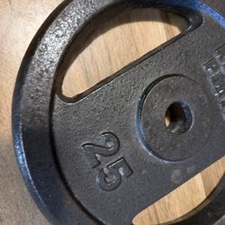 pesas de hierro fundido de la marca Sonnos, modelo Trigrip Premium.  Peso: 25 kg.