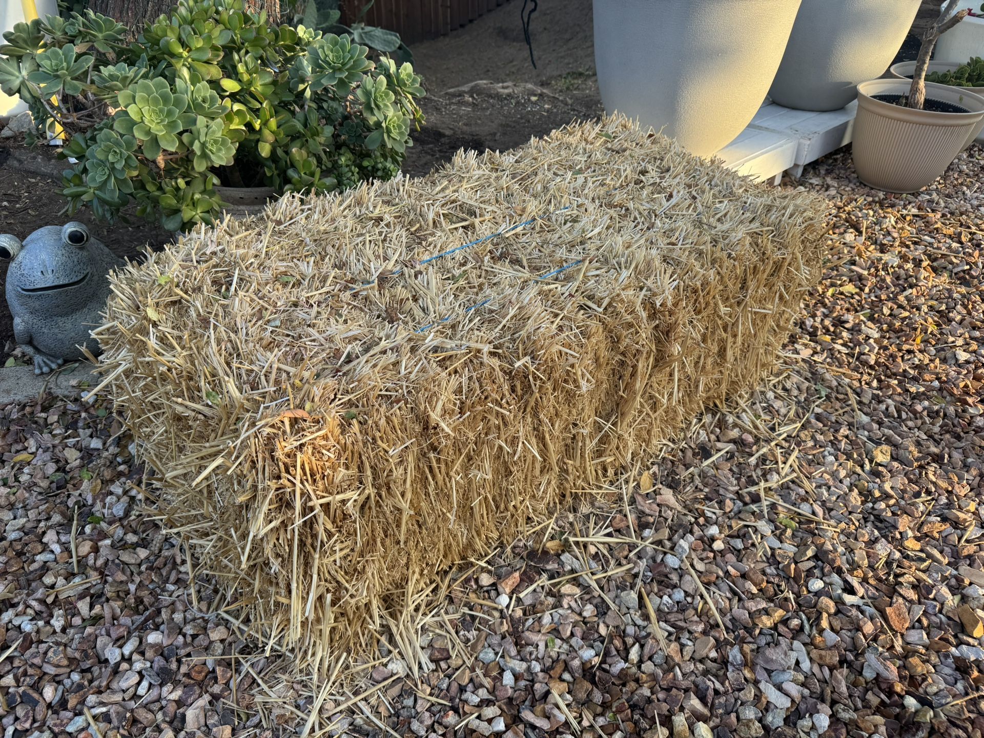 FREE HAY STACK